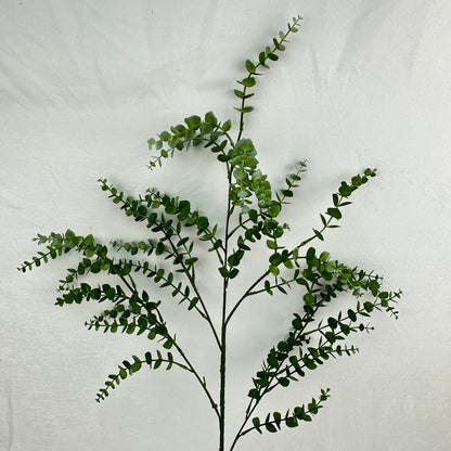 Green Hanging Eucalyptus Branch