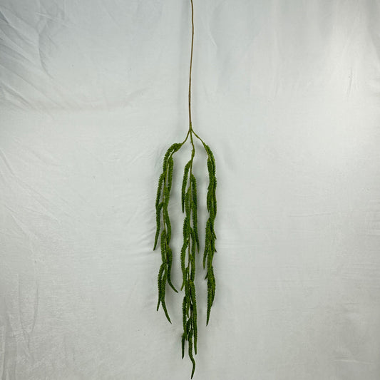 Green Silk Amaranthus Stem