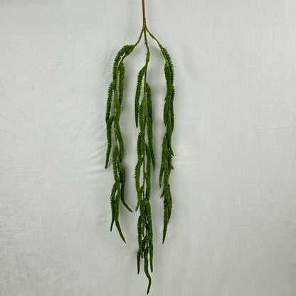 Green Silk Amaranthus Stem