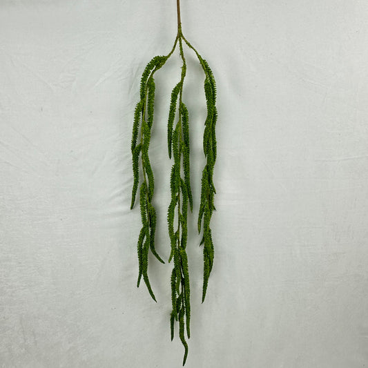 Green Silk Amaranthus Stem