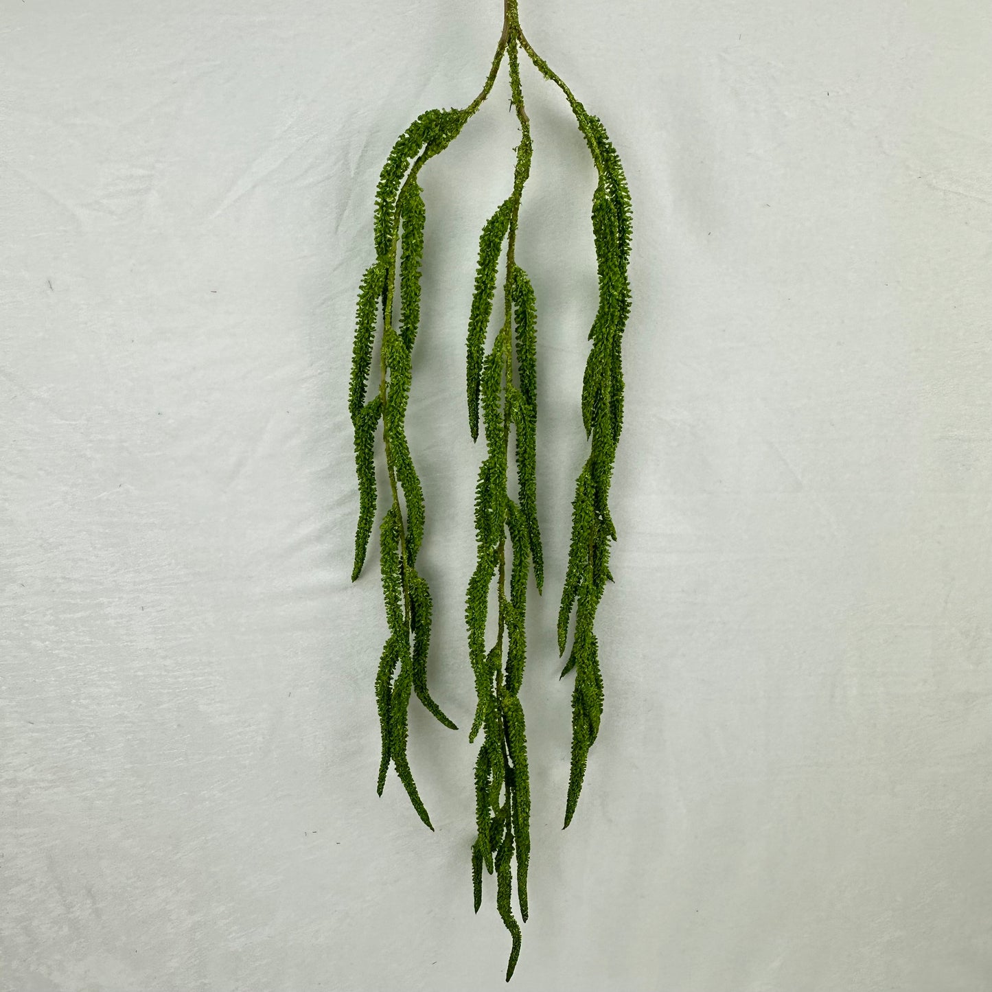 Green Silk Amaranthus Stem