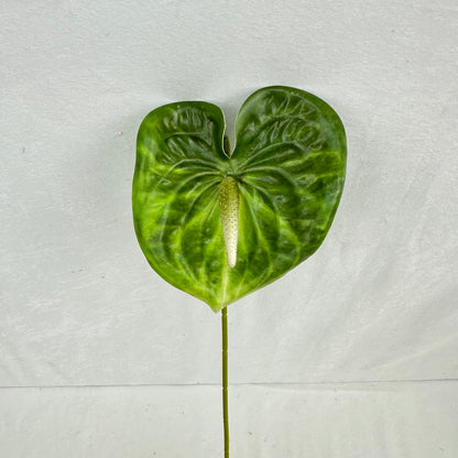 Green Real Touch Anthurium Stem