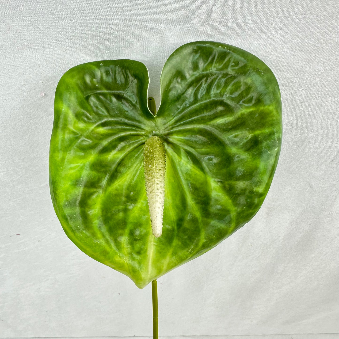 Green Real Touch Anthurium Stem