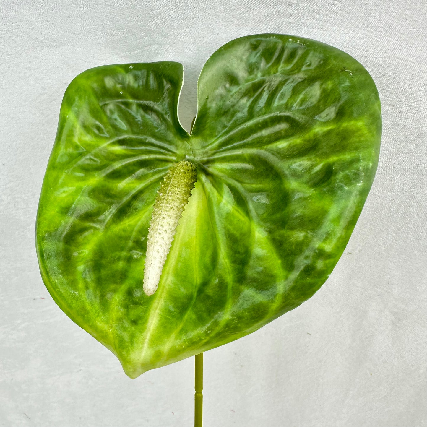 Green Real Touch Anthurium Stem