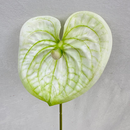 White Real Touch Anthurium Stem