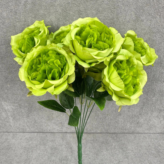 Green Silk Austin Rose Bush - 7 Heads RosesHQ.com