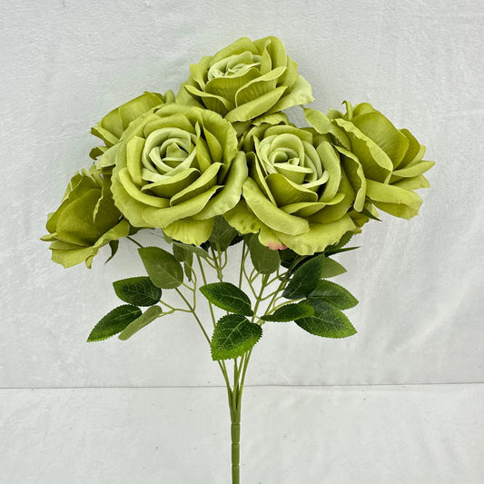 Green Silk Star Moon Rose Bush - 7 Heads RosesHQ.com