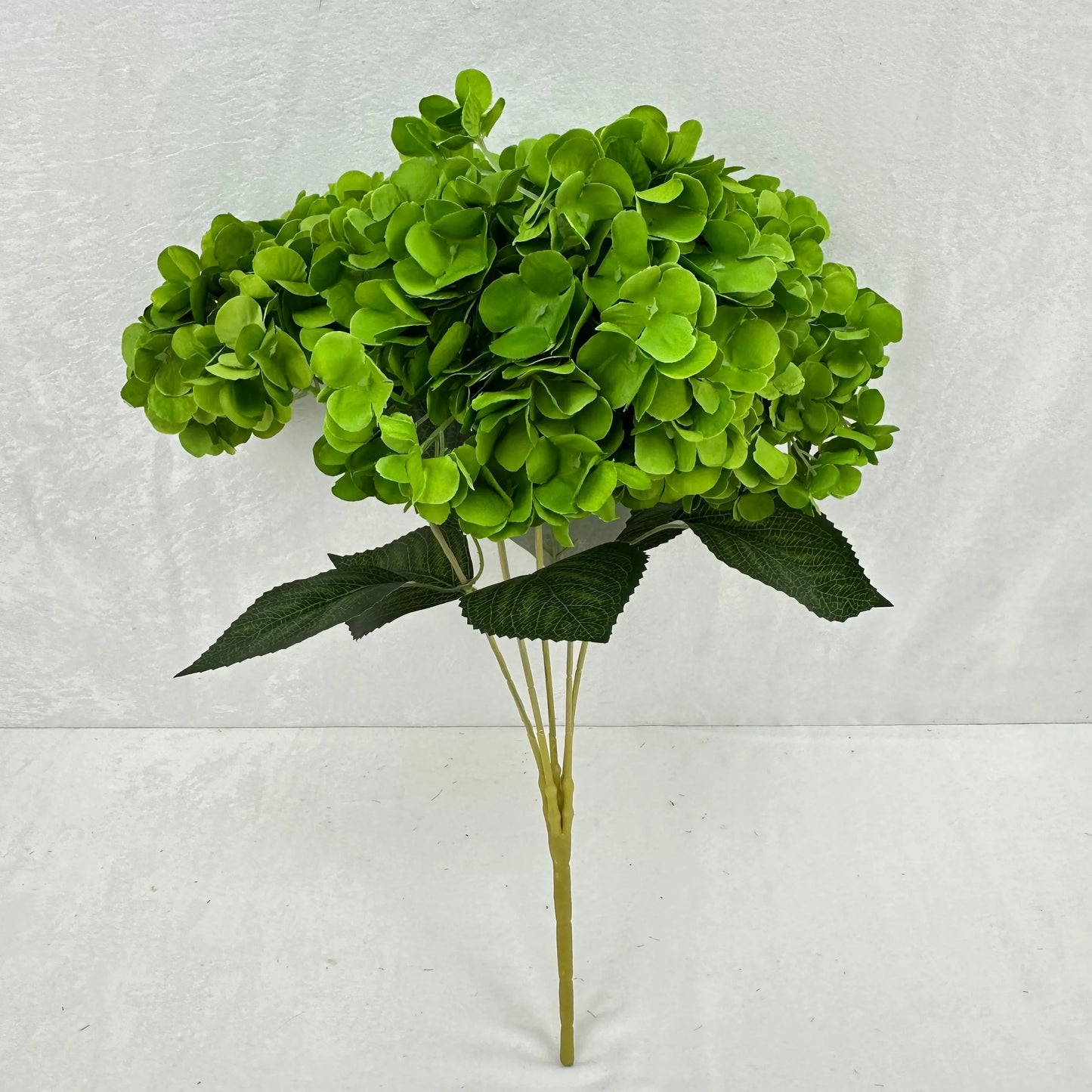 Green Silk French Hydrangea Bush - 5 Heads RosesHQ.com