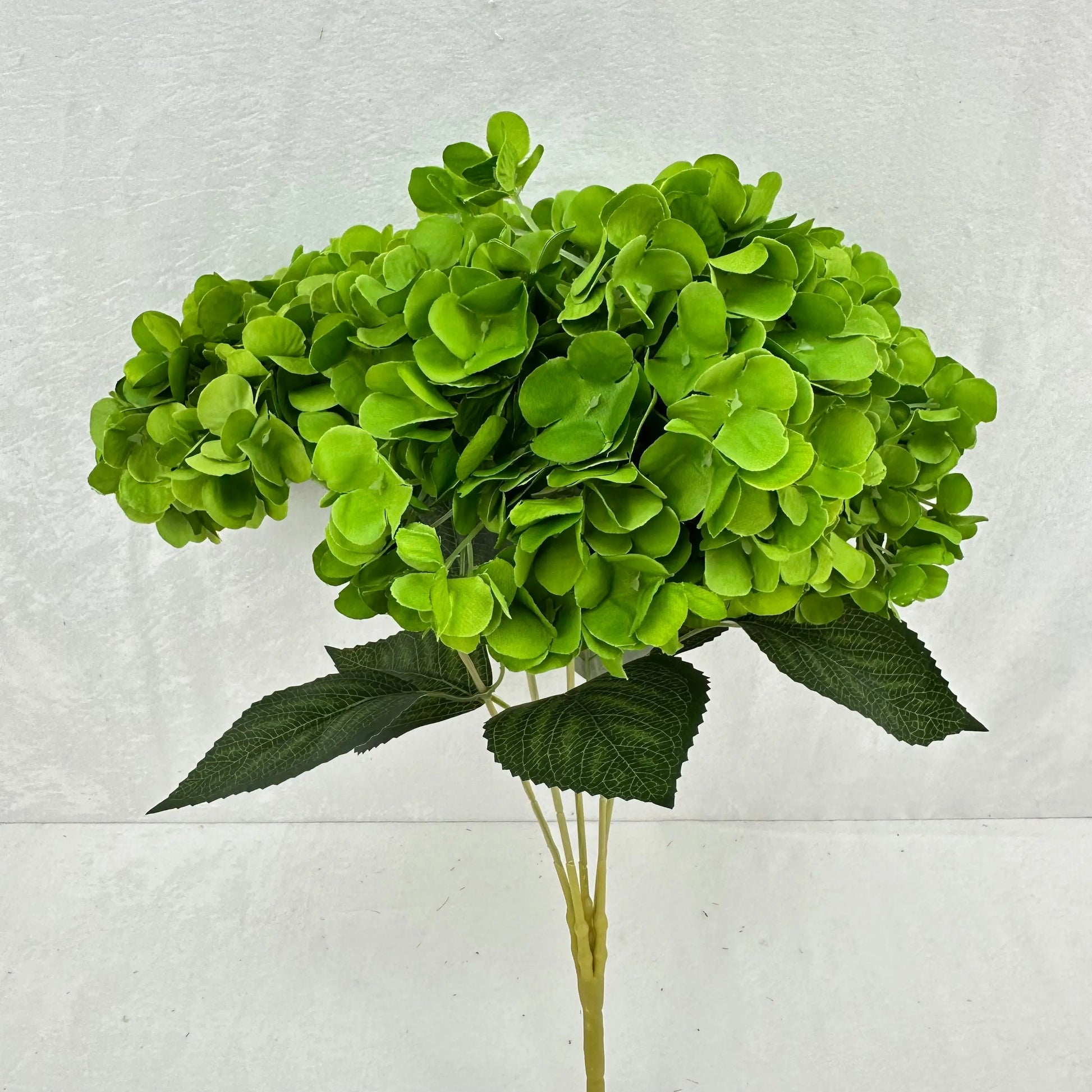 Green Silk French Hydrangea Bush - 5 Heads RosesHQ.com
