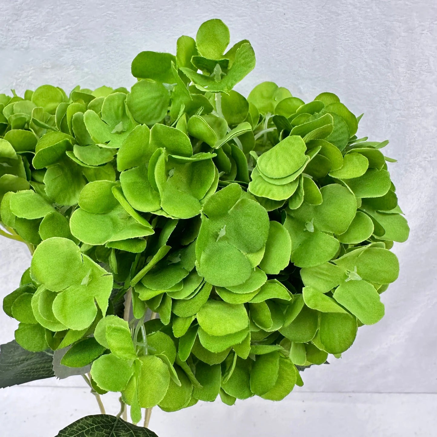 Green Silk French Hydrangea Bush - 5 Heads RosesHQ.com