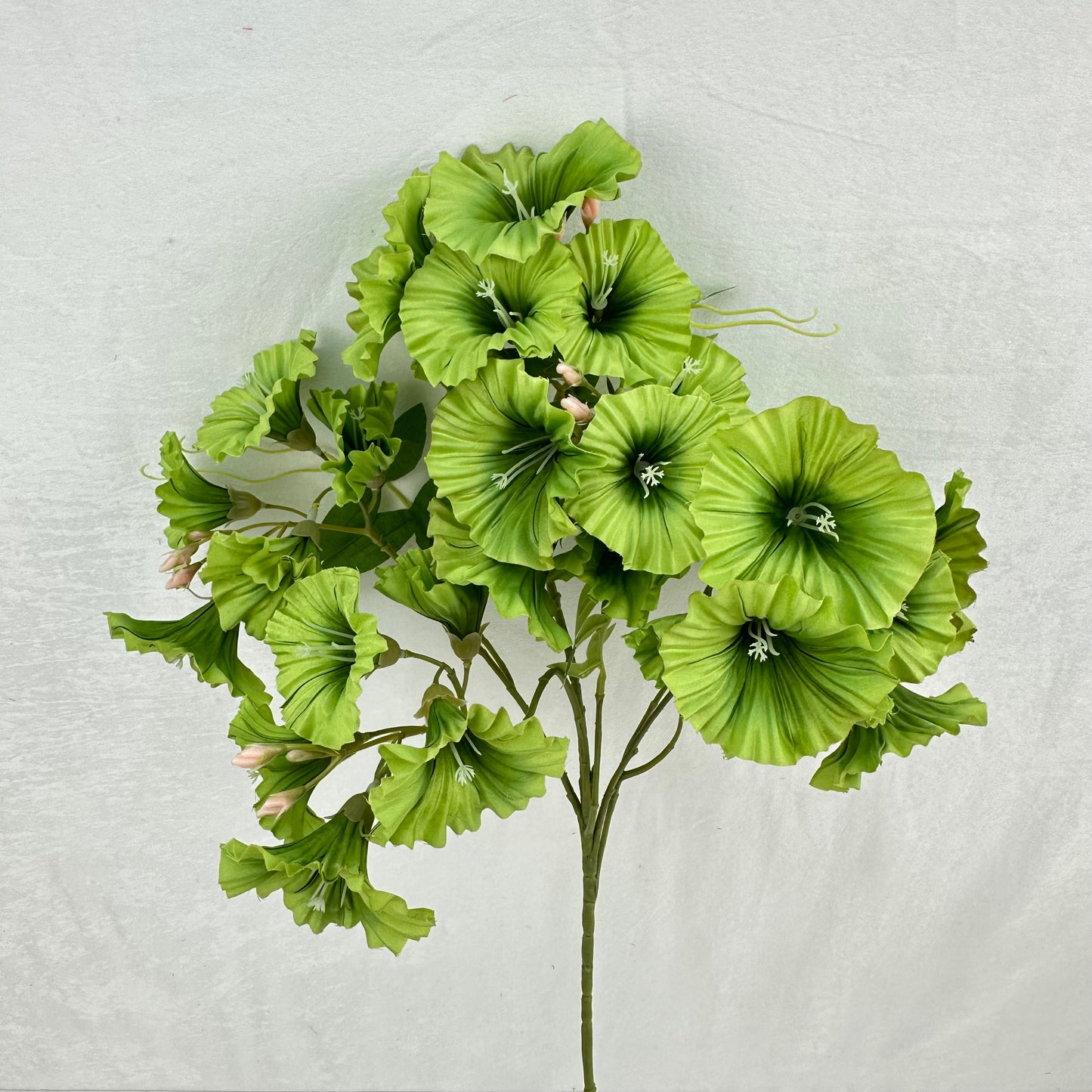 Green Silk Morning Glory Spray