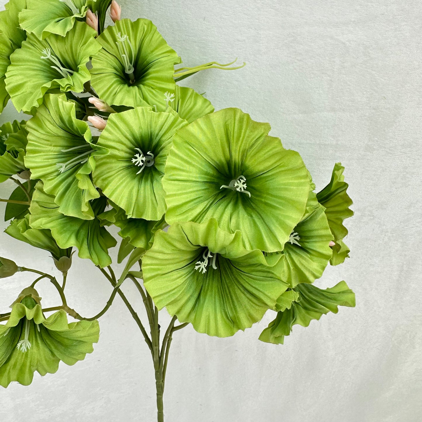 Green Silk Morning Glory Spray