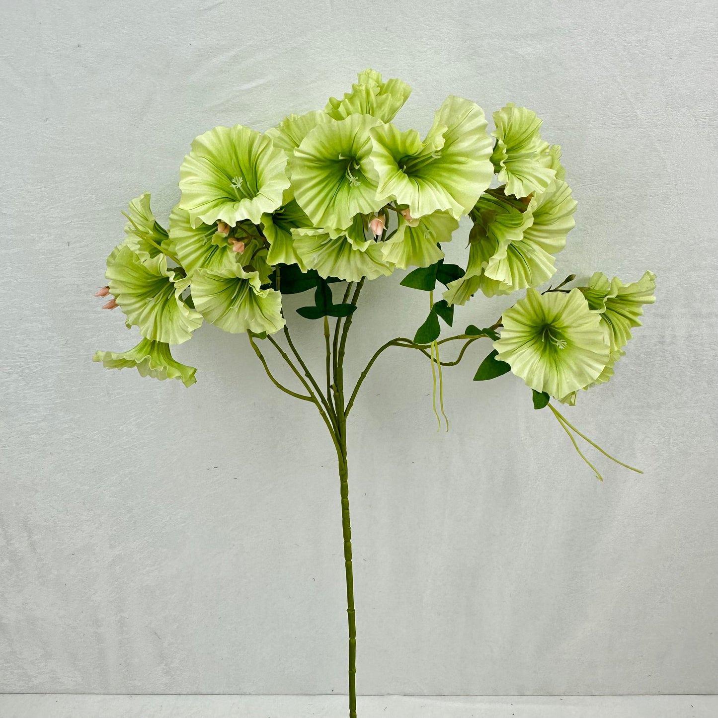 Green Silk Morning Glory Spray