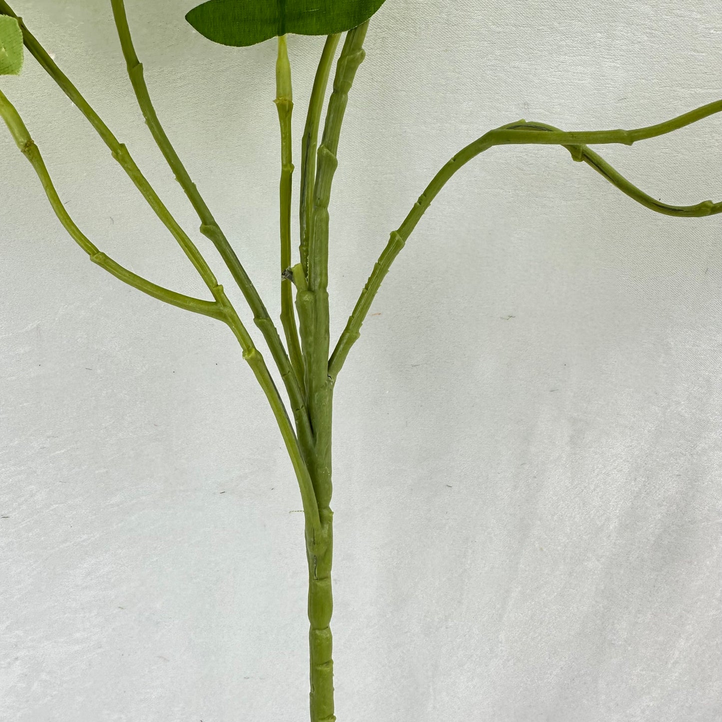 Green Silk Morning Glory Spray