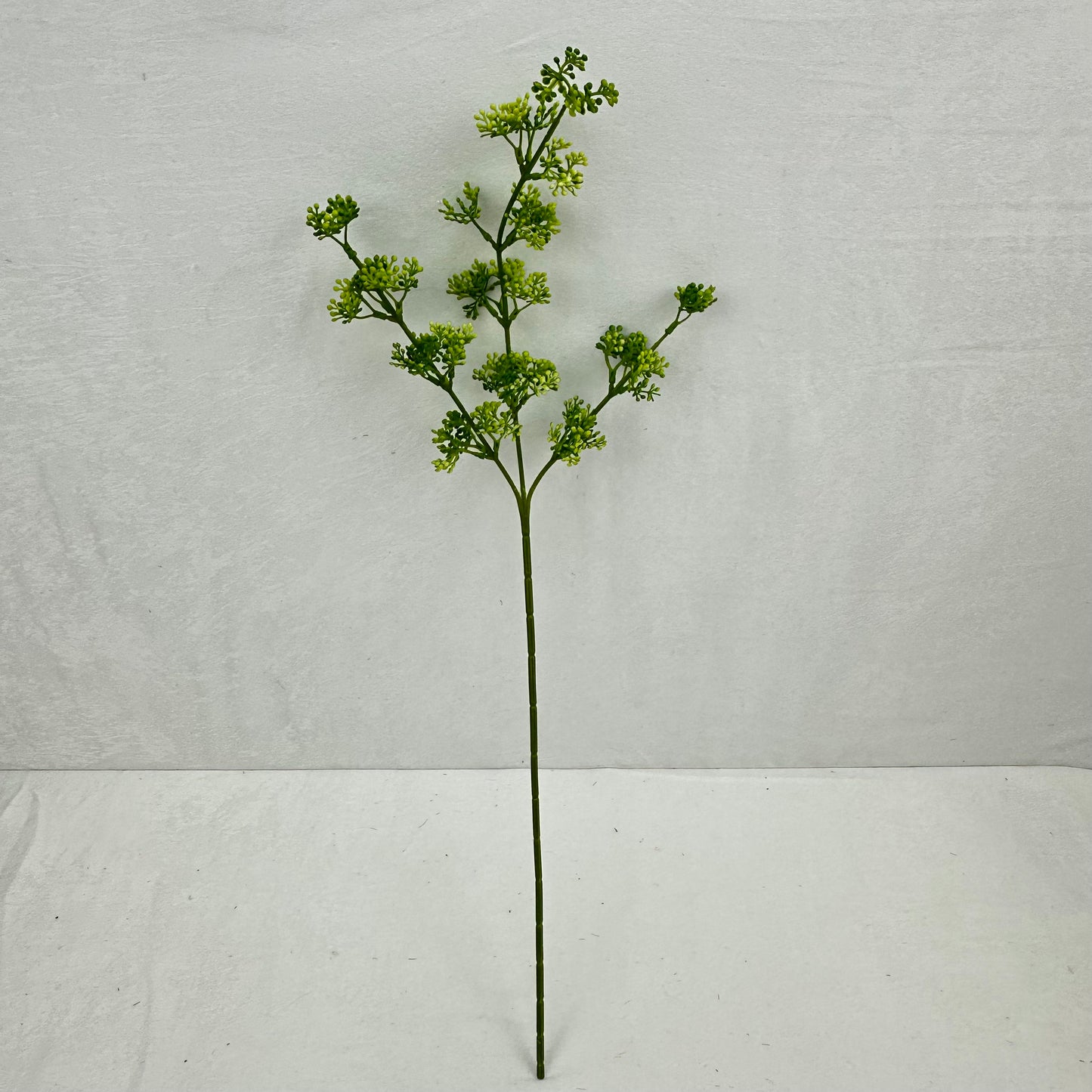 Green Millet Fruit Branch