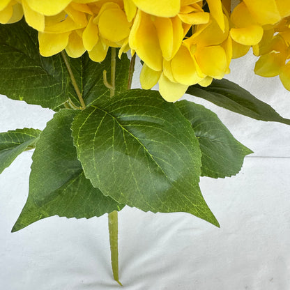 Yellow Silk French Hydrangea Bush - 5 Heads