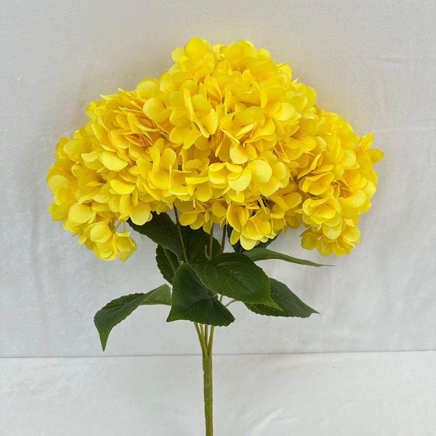 Yellow Silk French Hydrangea Bush - 5 Heads