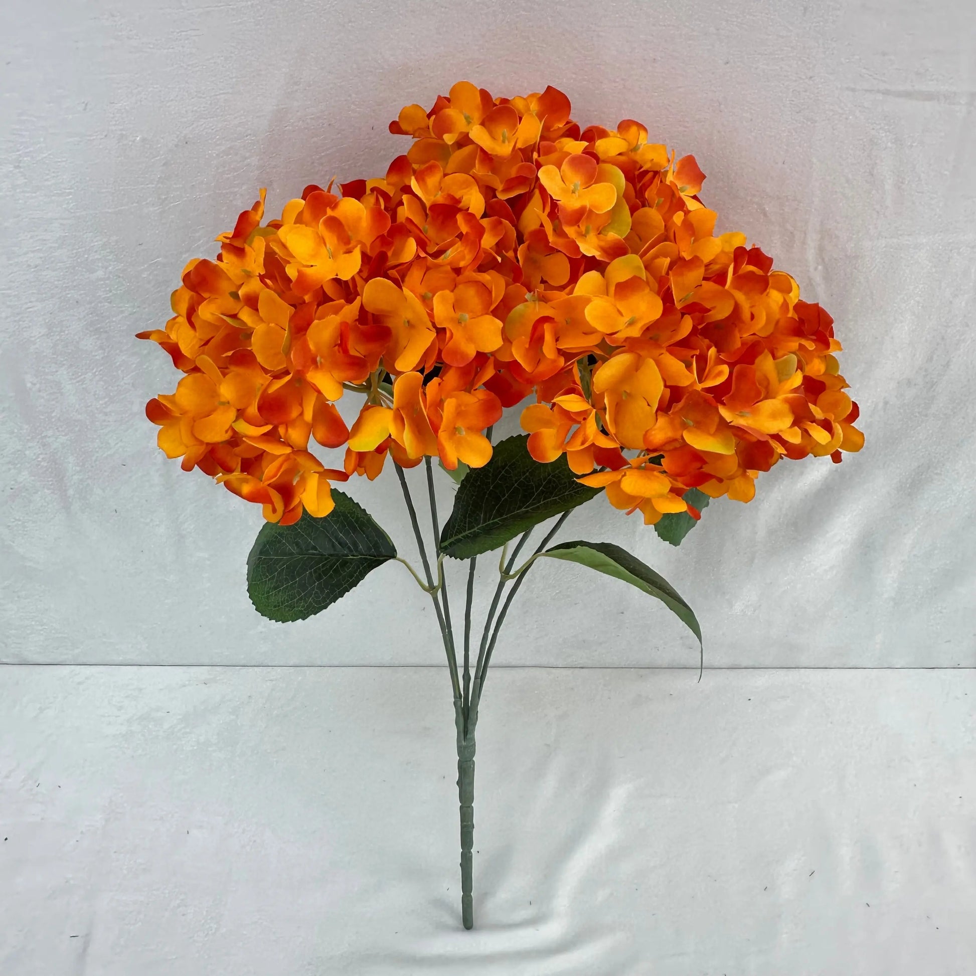 Orange Silk French Hydrangea Bush - 5 Heads RosesHQ.com