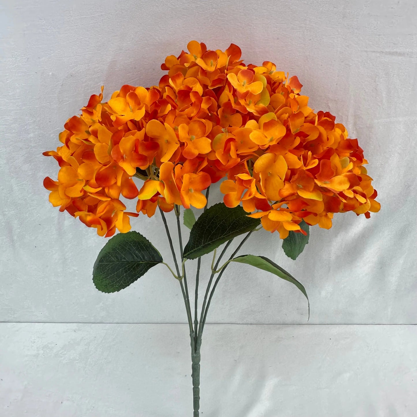 Orange Silk French Hydrangea Bush - 5 Heads RosesHQ.com