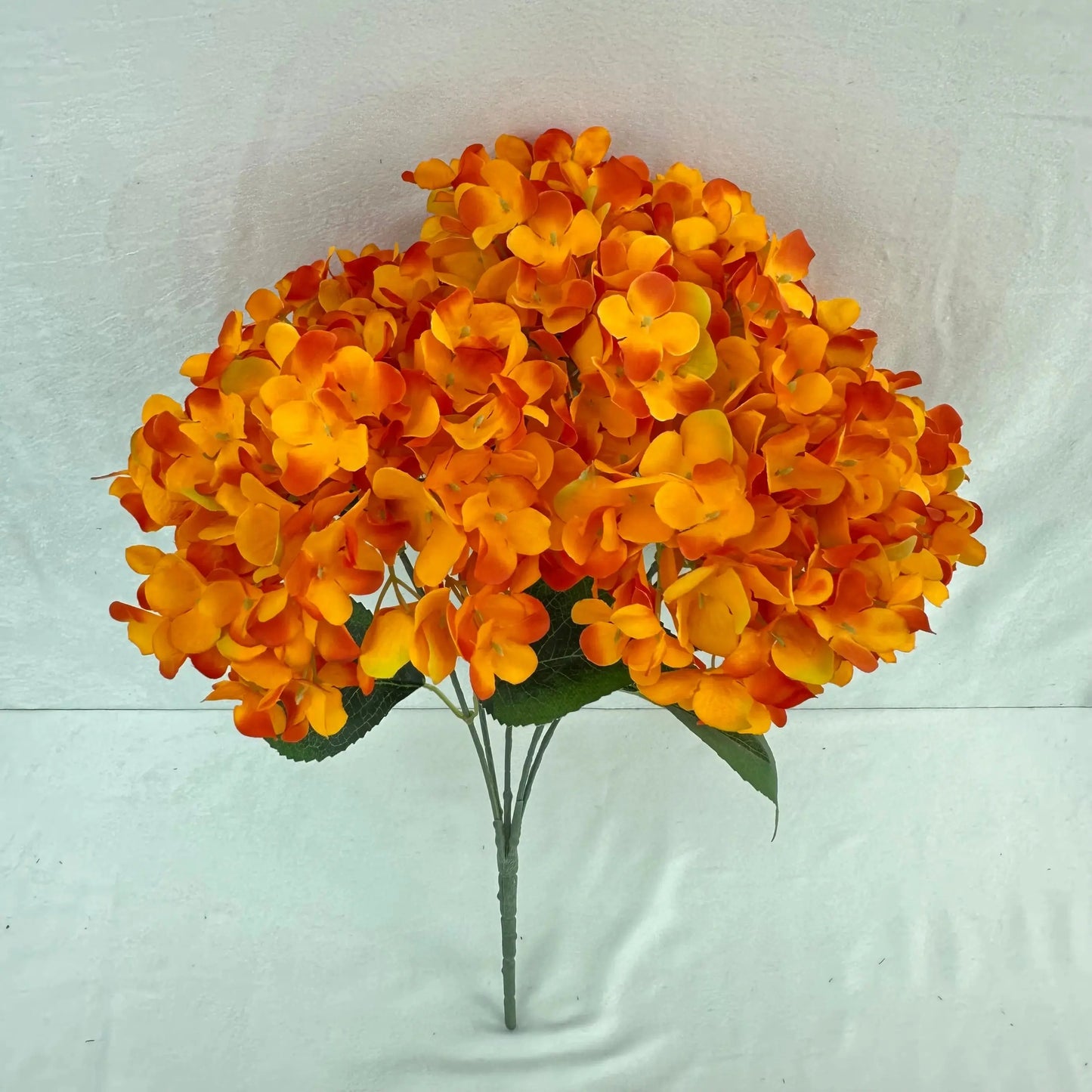 Orange Silk French Hydrangea Bush - 5 Heads RosesHQ.com