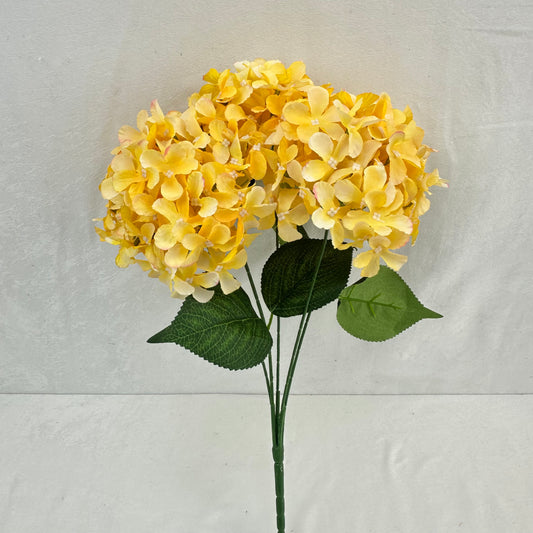 Yellow Silk GJ Hydrangea Bush - 5 Heads