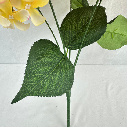 Yellow Silk GJ Hydrangea Bush - 5 Heads