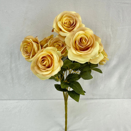 Yellow Silk Bulgarian Rose Bush - 9 Heads RosesHQ.com