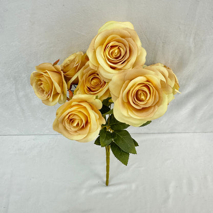 Yellow Silk Bulgarian Rose Bush - 9 Heads