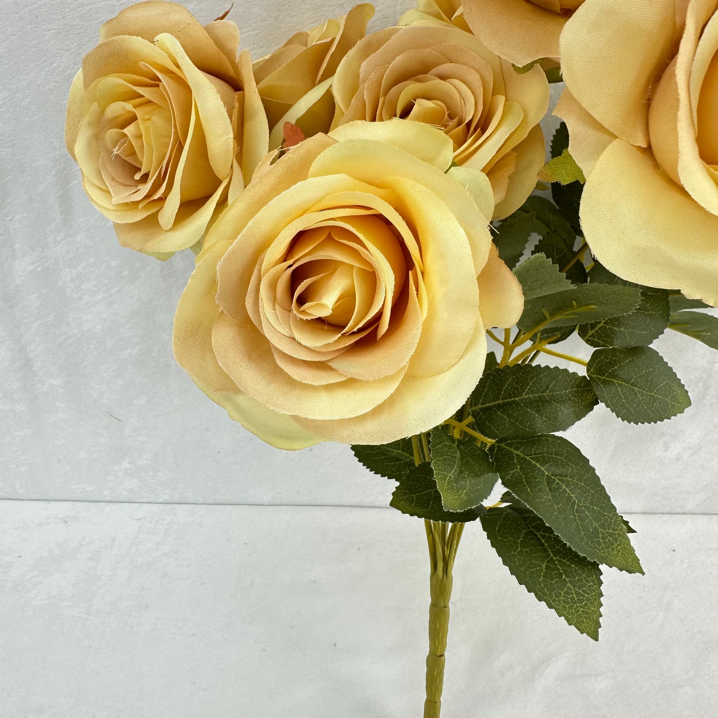 Yellow Silk Bulgarian Rose Bush - 9 Heads