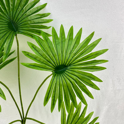 Green Silk Fishtail Palm Leaf 5 Branch