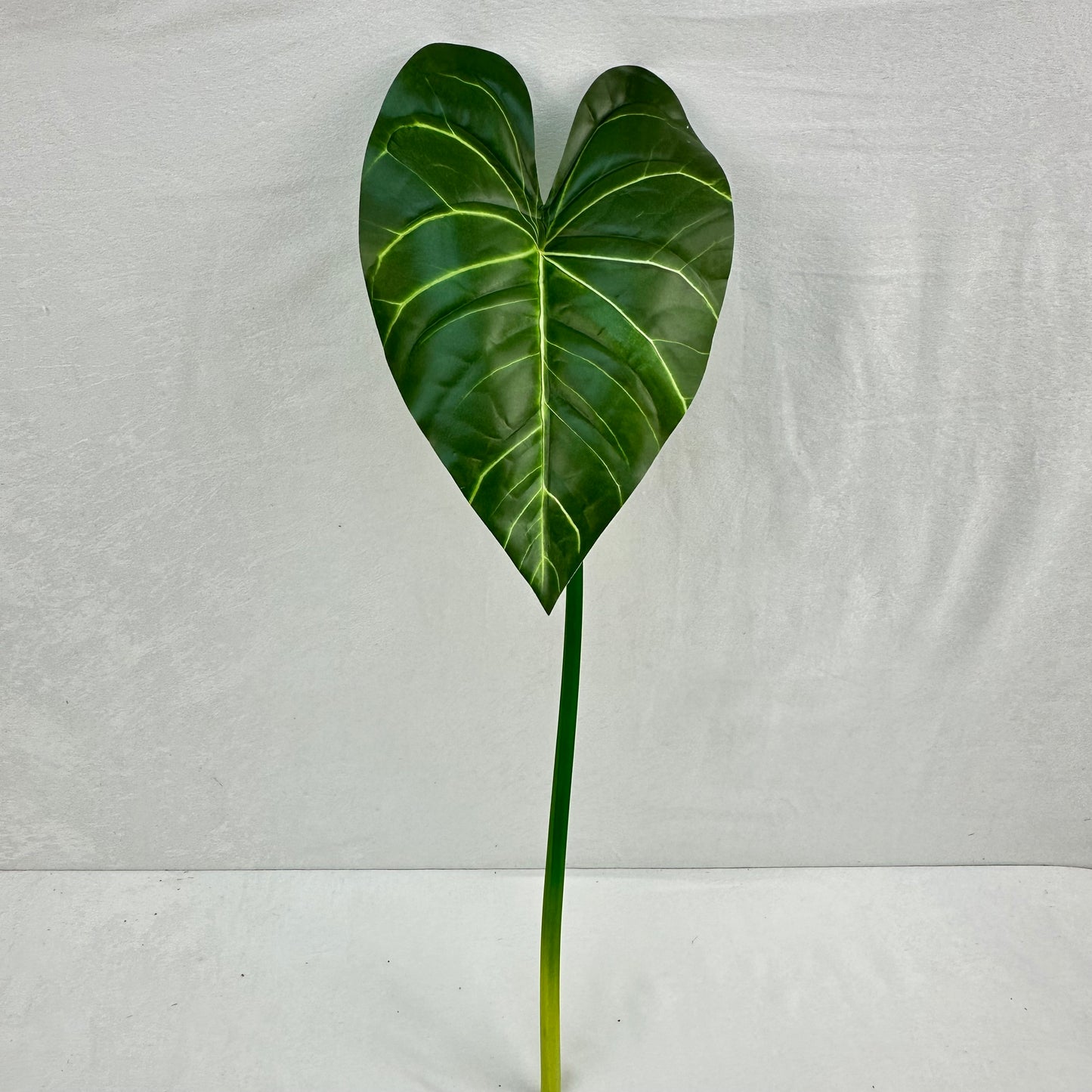 Green Silk Taro Heart Leaf