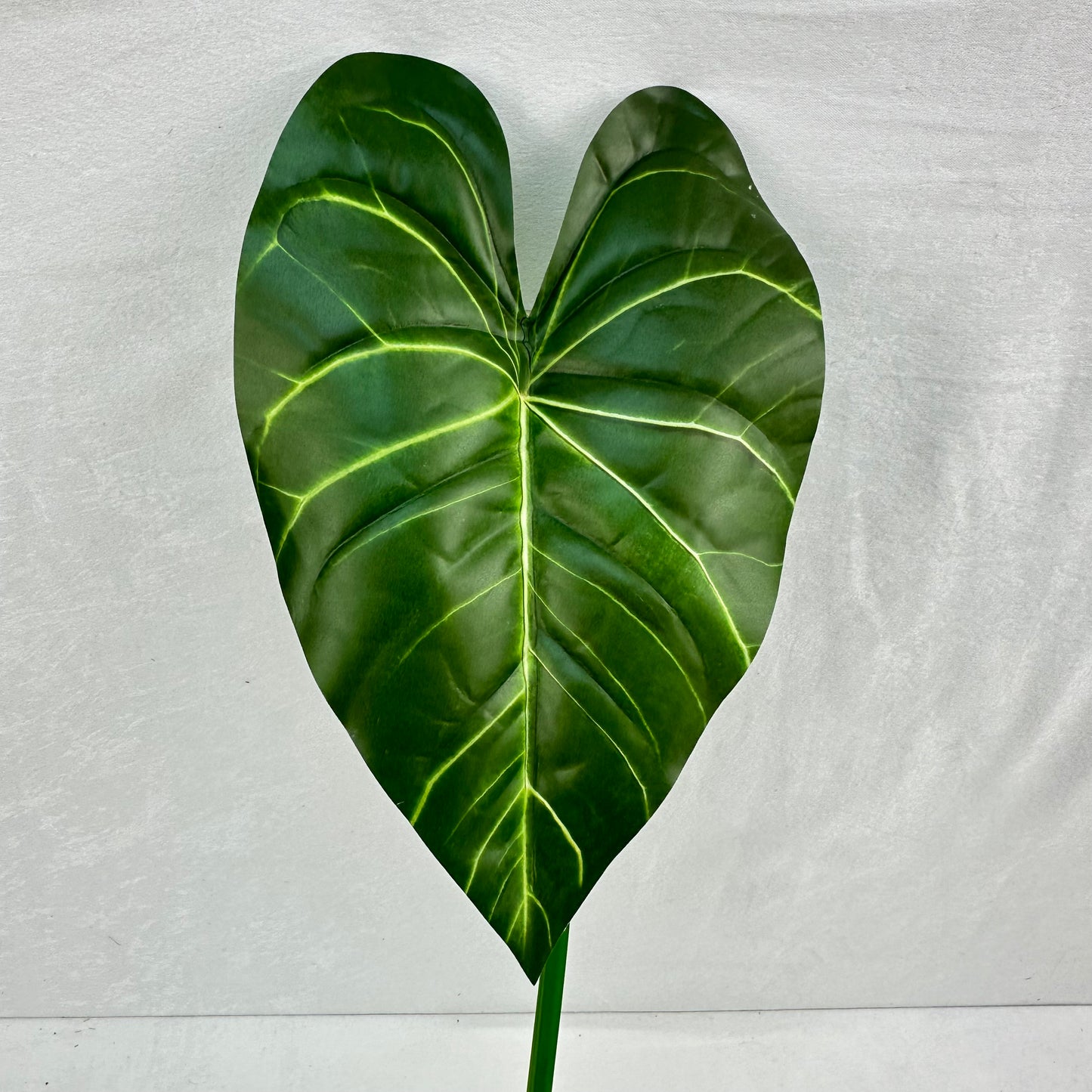 Green Silk Taro Heart Leaf