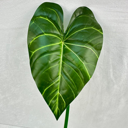 Green Silk Taro Heart Leaf