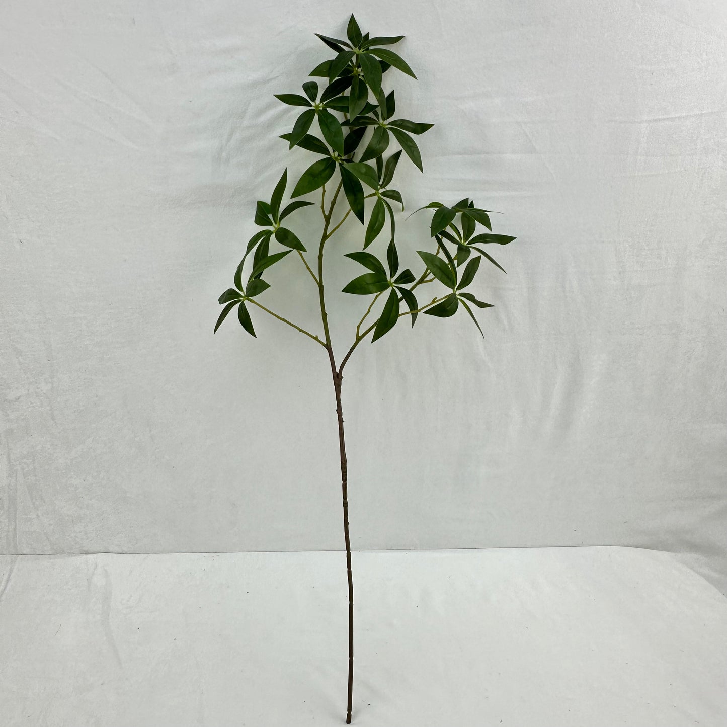 Green Silk Fortune Ruscus Leaf Branch