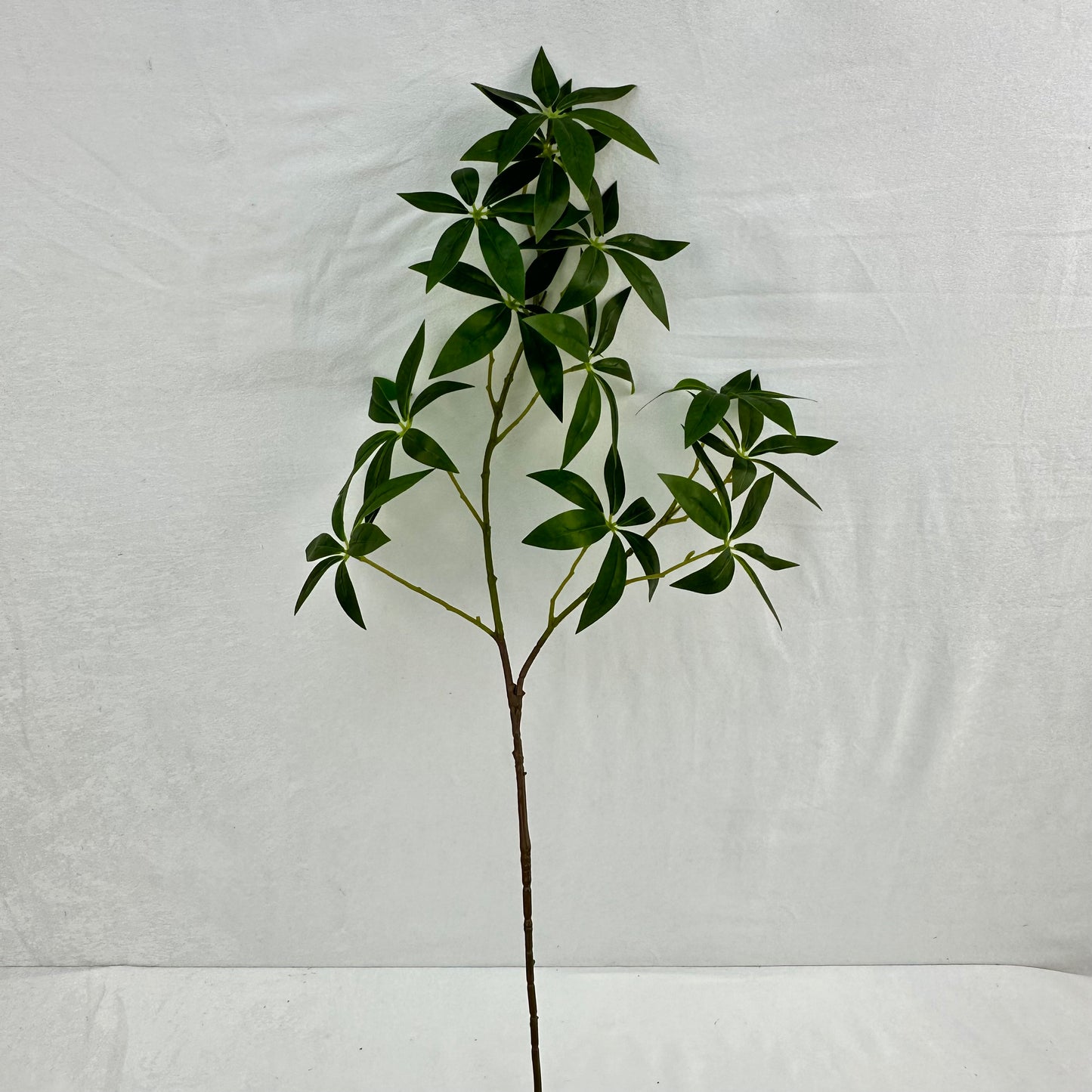 Green Silk Fortune Ruscus Leaf Branch