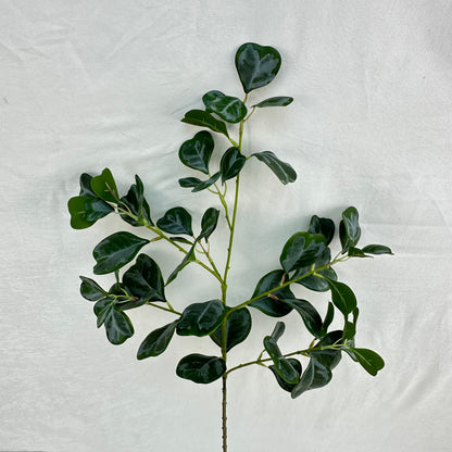 Green Silk Heart Shaped Ficus Leaf Branch