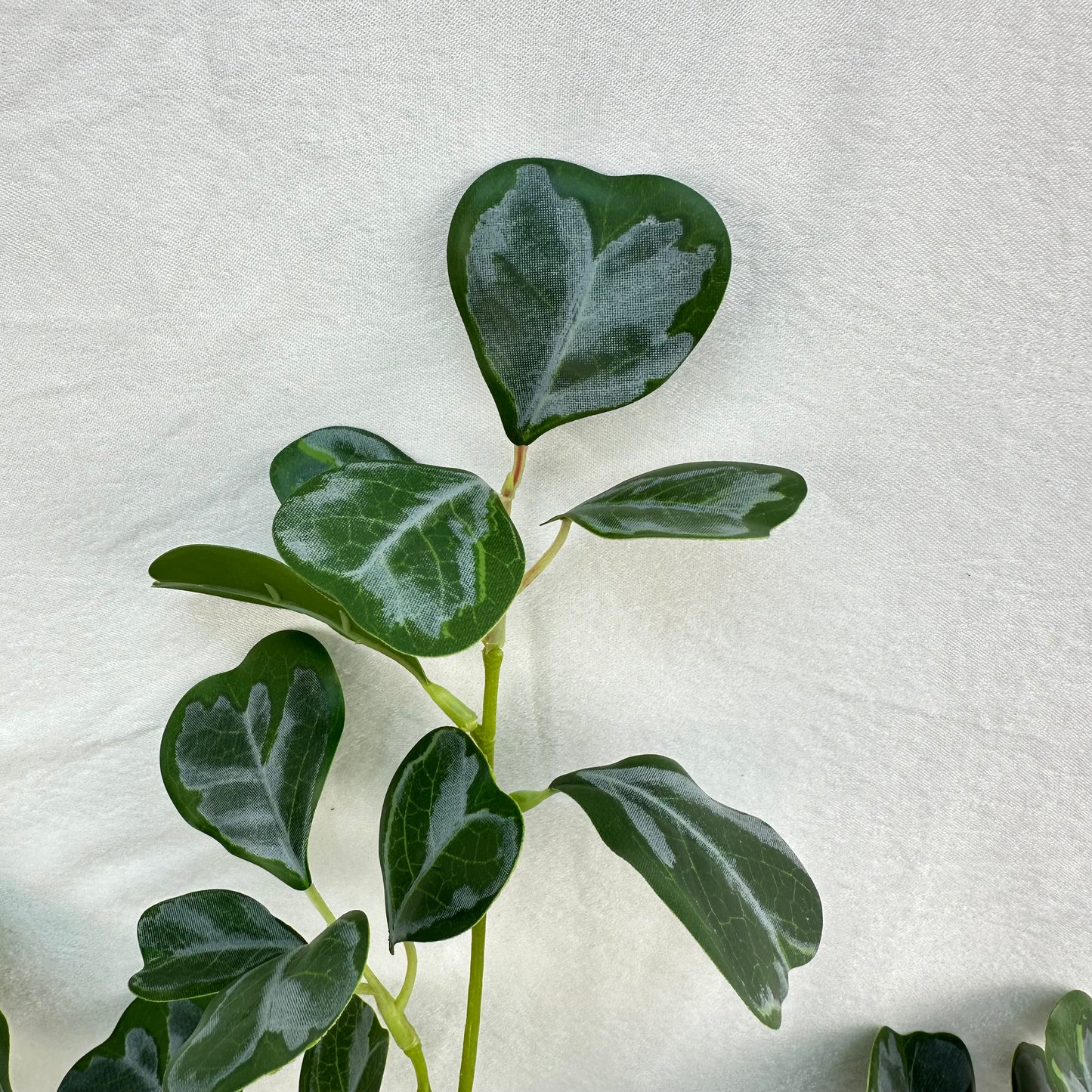 Green Silk Heart Shaped Ficus Leaf Branch