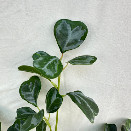 Green Silk Heart Shaped Ficus Leaf Branch