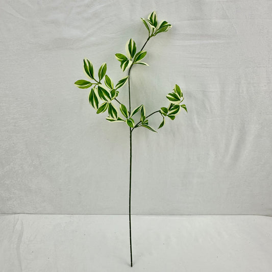 Green Silk Spider Plant 3 Branch