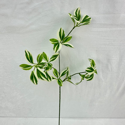 Green Silk Spider Plant 3 Branch