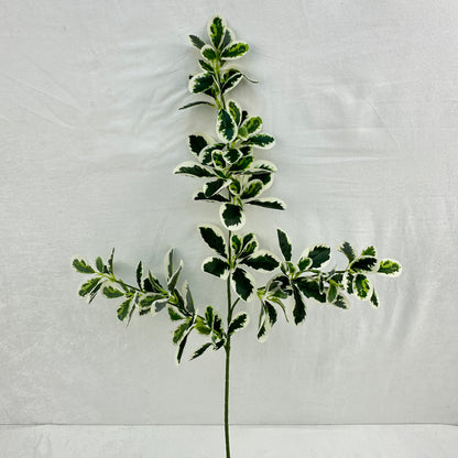 Green Silk Fortune Polyscias Branch