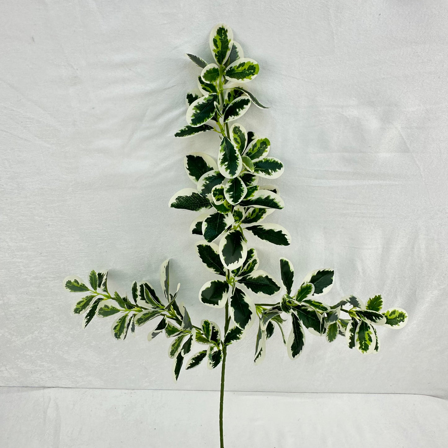 Green Silk Fortune Polyscias Branch