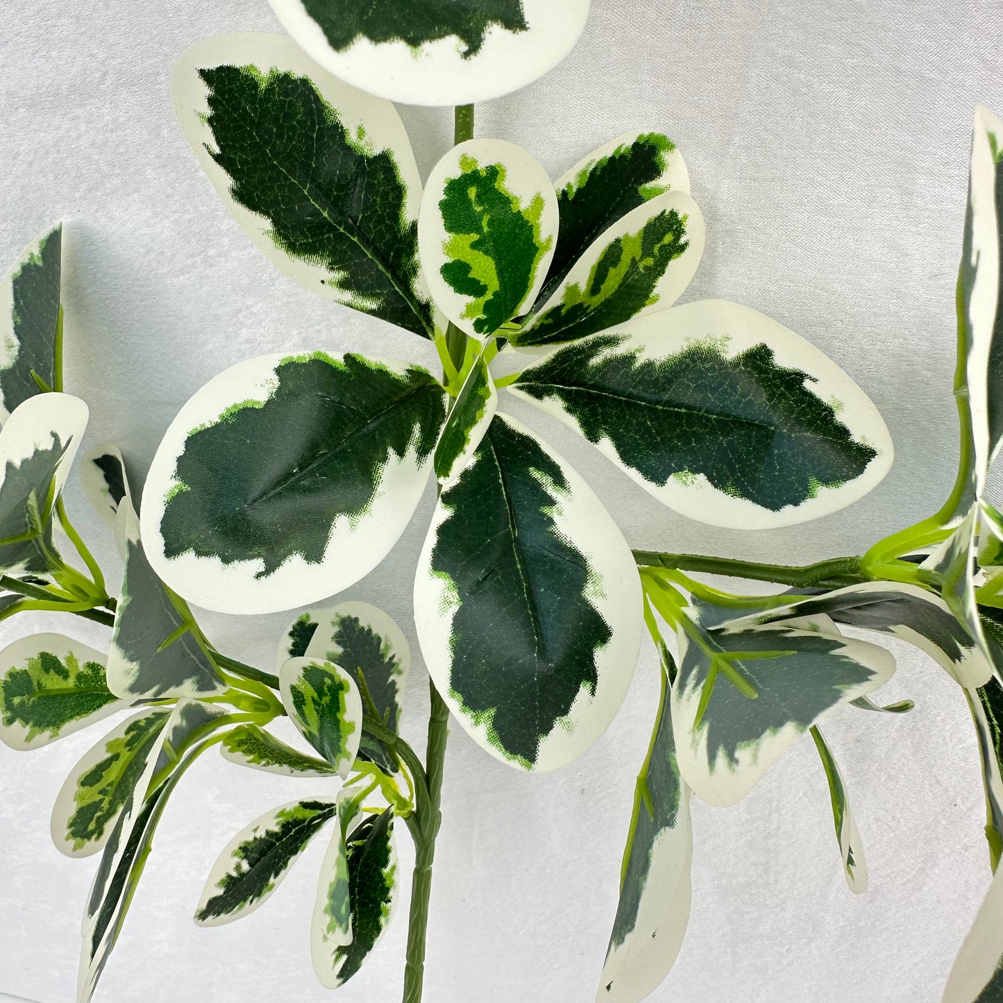 Green Silk Fortune Polyscias Branch
