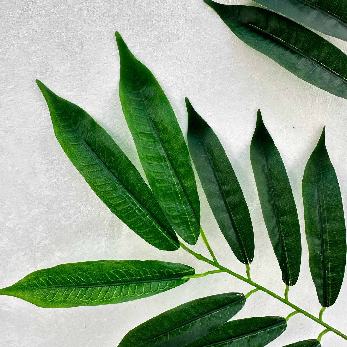 Green Silk Lemon Tree Leaf 12 Pack