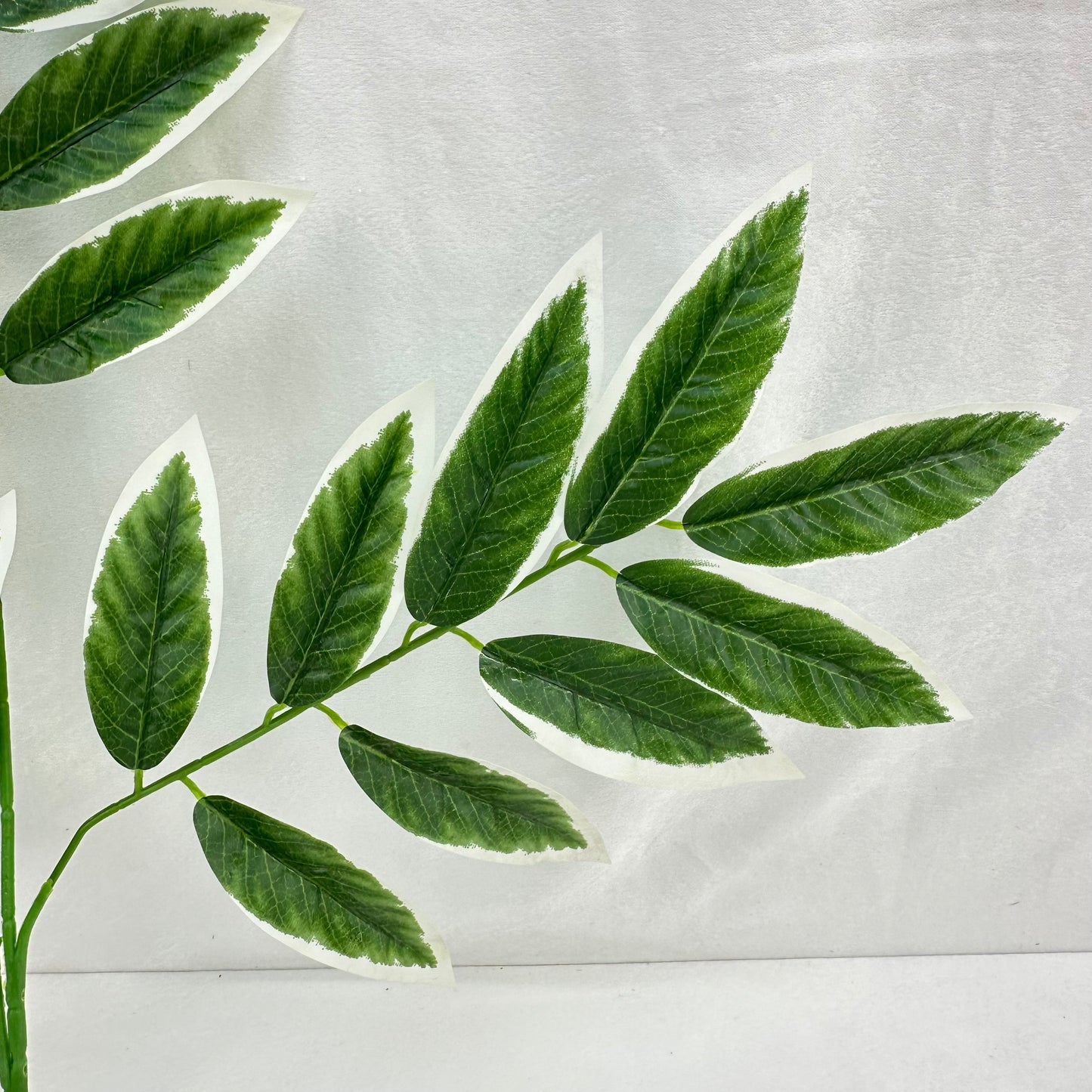 Green Silk Lemon Tree Leaf White Edge 12 Pack