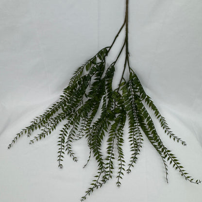 Green Hanging Fern Vine Branch