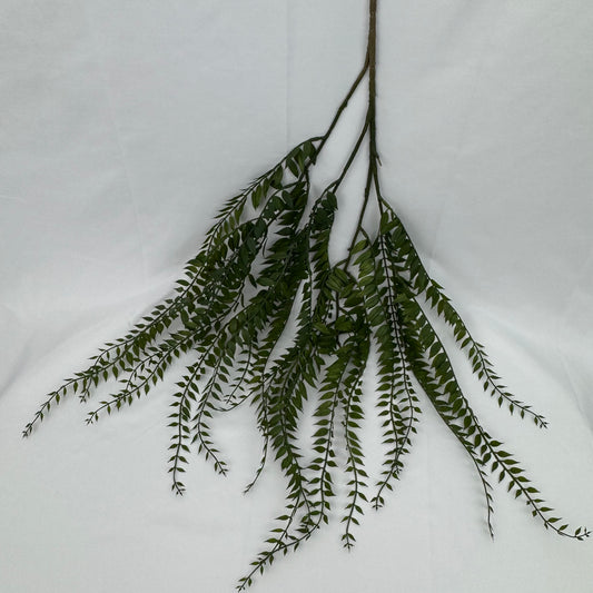 Green Hanging Fern Vine Branch