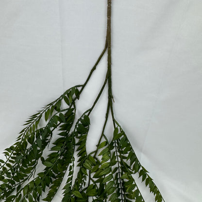 Green Hanging Fern Vine Branch