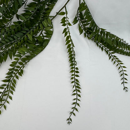Green Hanging Fern Vine Branch