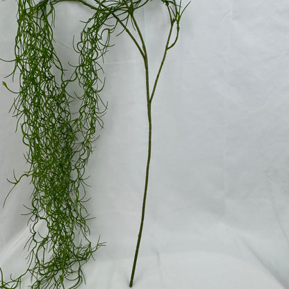 Green Seaweed